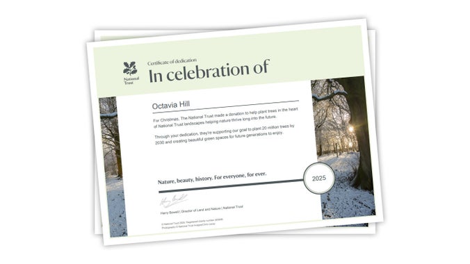 A Plant a Tree digital certificate